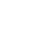 little Christmas tree